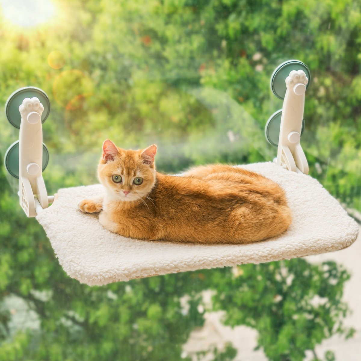 spot_img